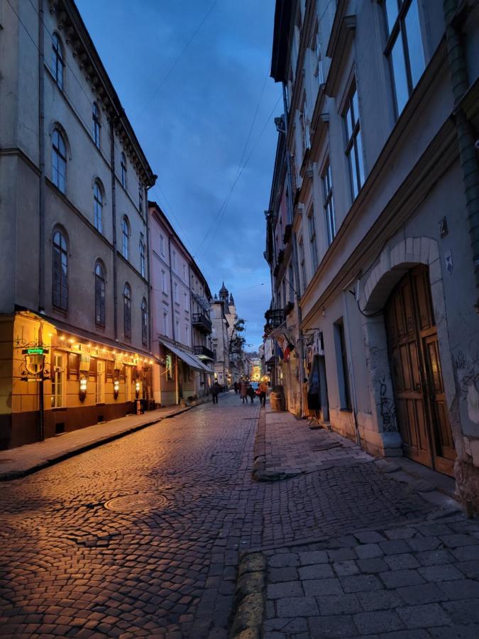 Warm & Cozy Apartment In The Heart Of Historical Lviv Kültér fotó
